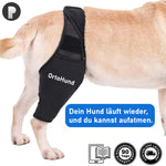 Lade das Bild in den Galerie-Viewer, OrtoHund – Kniebandage für Hunde + Kostenloses E-Book
