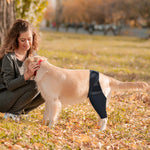 Lade das Bild in den Galerie-Viewer, OrtoHund – Kniebandage für Hunde + Kostenloses E-Book

