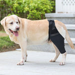 Lade das Bild in den Galerie-Viewer, OrtoHund – Kniebandage für Hunde + Kostenloses E-Book
