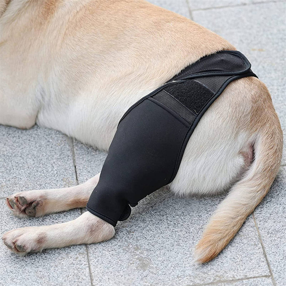 OrtoHund – Kniebandage für Hunde + Kostenloses E-Book