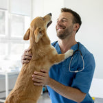 Lade das Bild in den Galerie-Viewer, OrtoHund – Kniebandage für Hunde + Kostenloses E-Book
